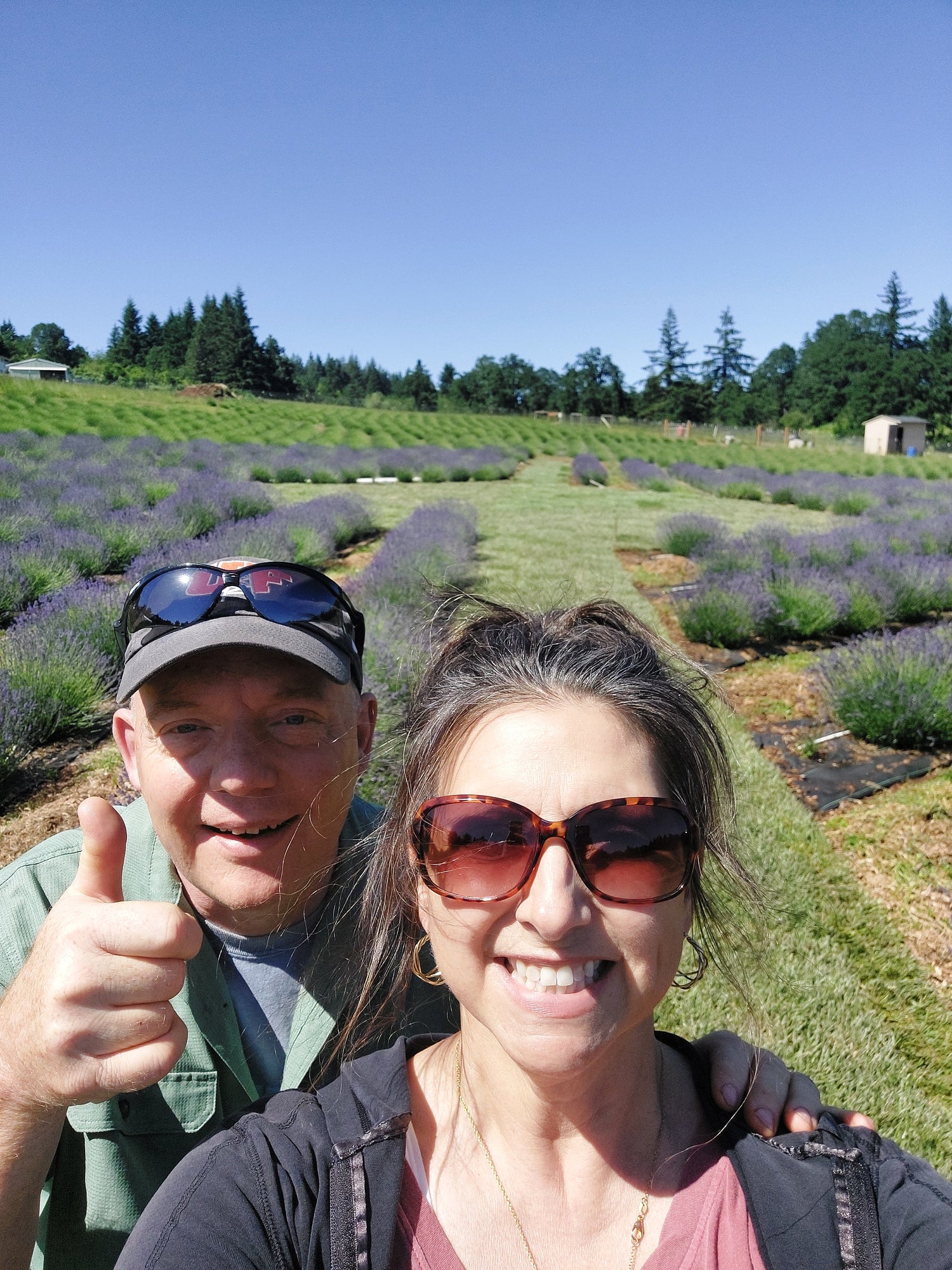 couple in lavender field