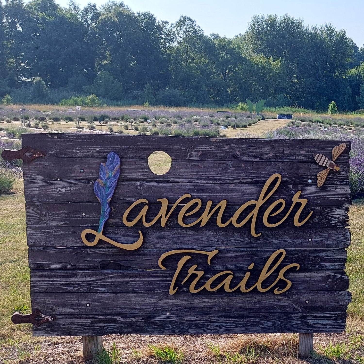 Lavender Trails Wooden Sign