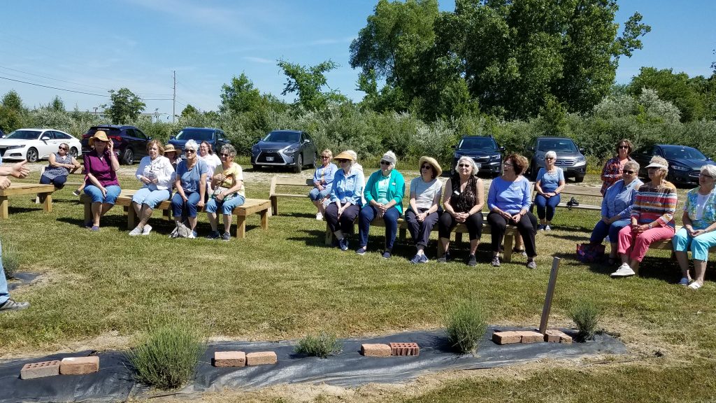 Group of people sitting at a lavender field